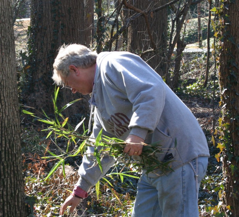 Steve pulling plants